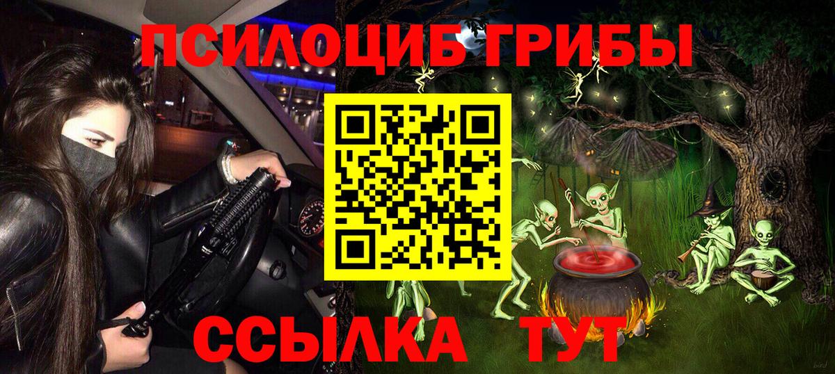 Галлюциногенные грибы Cubensis Сургут