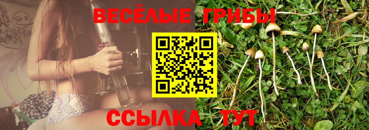 Псилоцибиновые грибы Magic Shrooms  Псилоцибиновые грибы Magic Shrooms  Сургут  Вход с VPN 